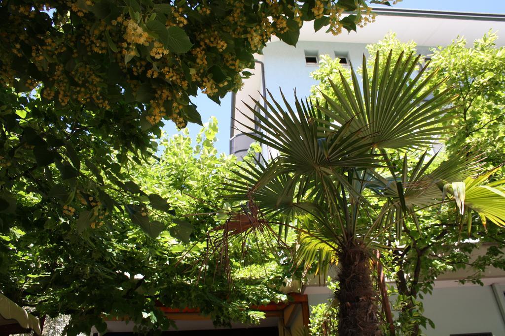 Hotel Villa Dei Gerani 리미니 외부 사진